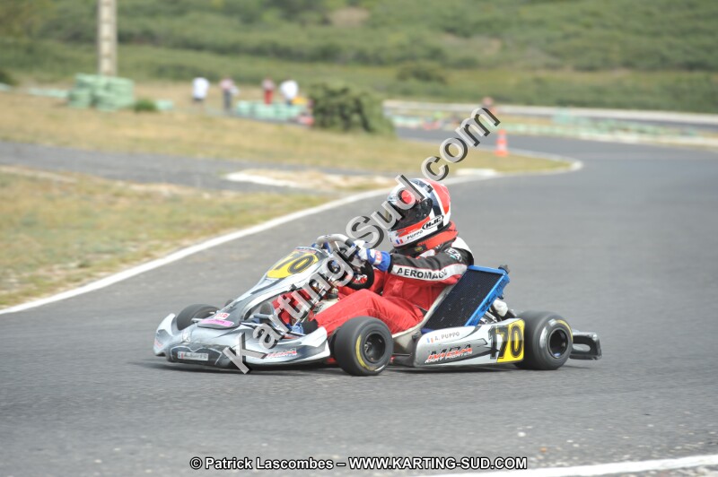 DSC (3544).JPG